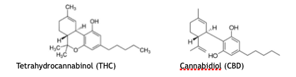 THC-and-CBD